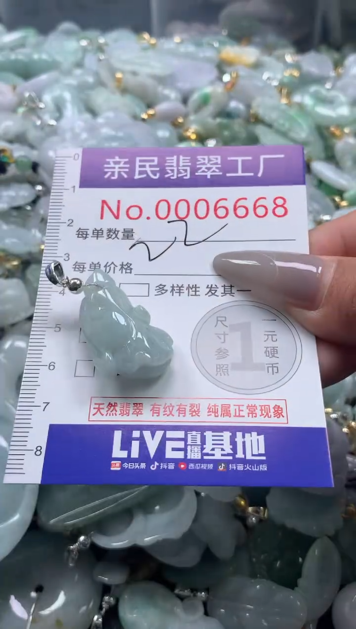 颈饰未镶嵌翡翠6668