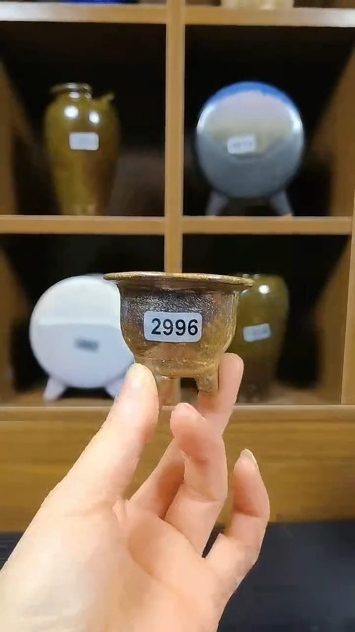 【闪购商品】红陶2996