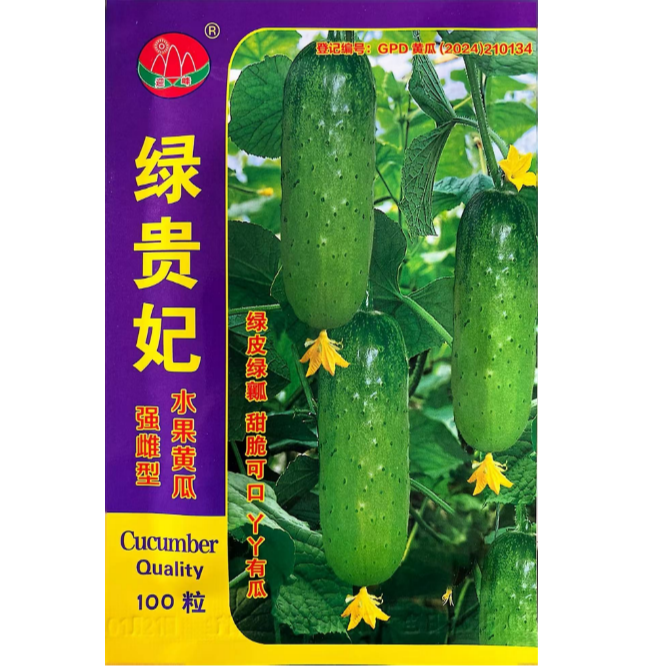 新绿贵妃黄瓜种子 100粒 甜脆可口 黄瓜味足 强雌型旱黄瓜