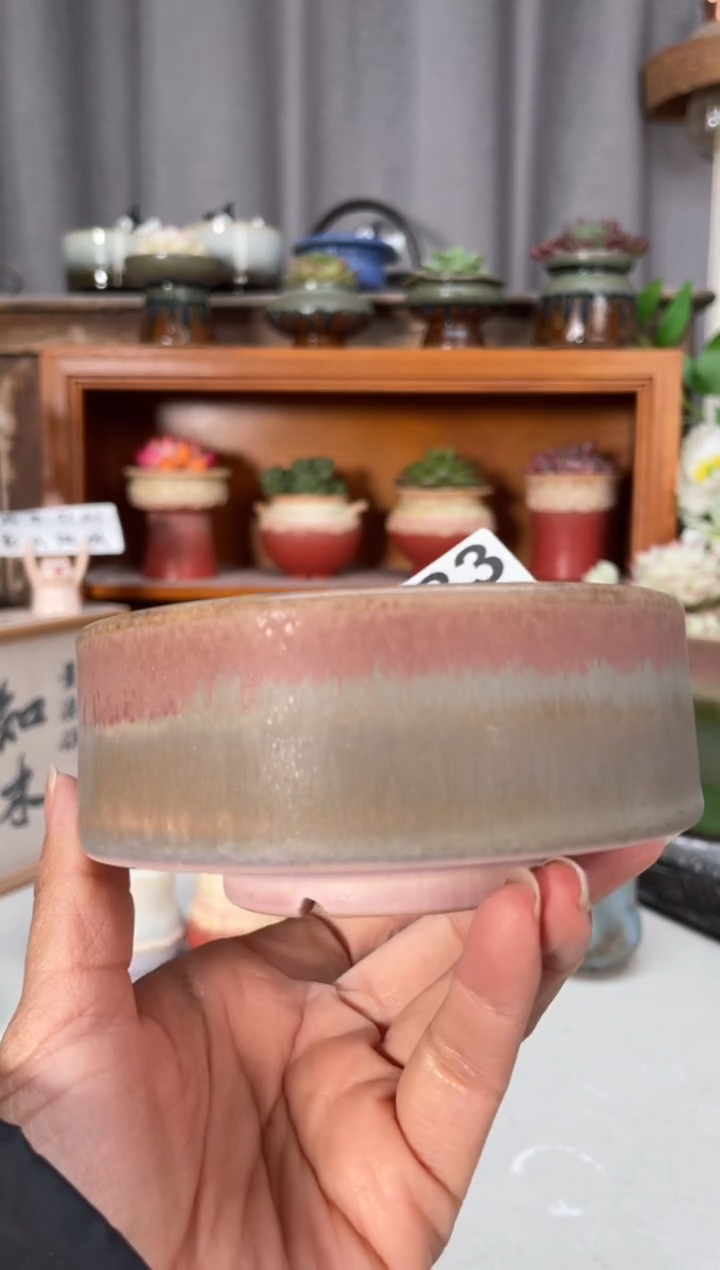 瓷片683小芳直播编号