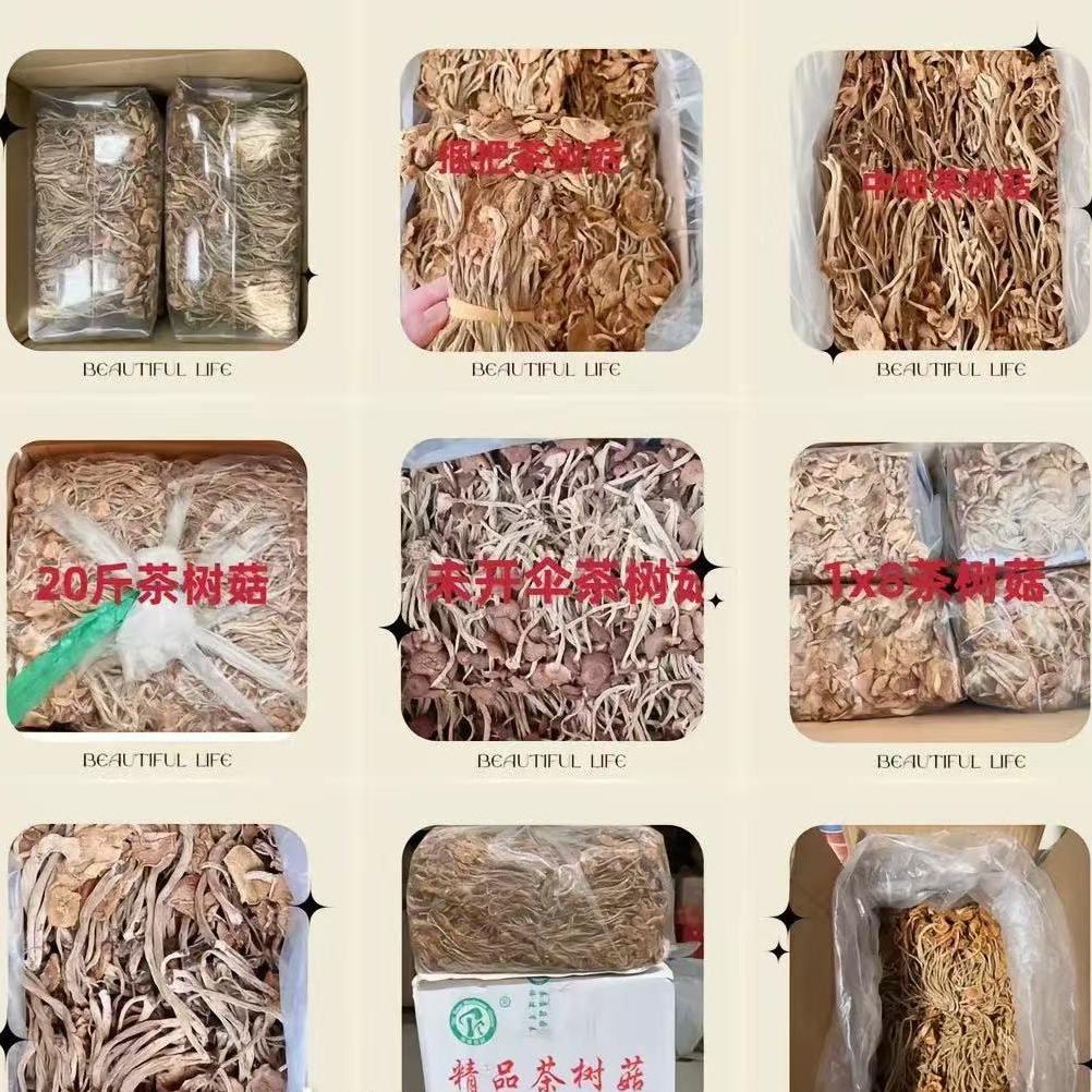 天选滋补行】七彩枸杞 桑葚【代替链接】105