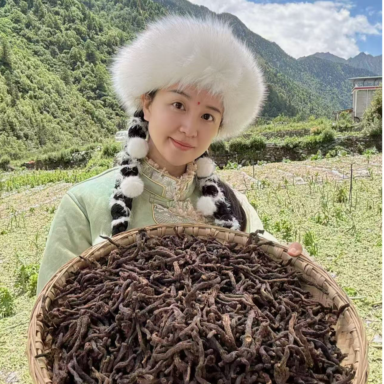 【新货】念念精选 九蒸九制玉竹 可搭配枸杞 店有干山药