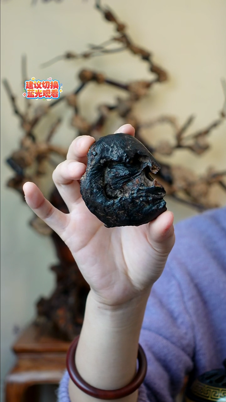 木本降真香红降花梨公 33g