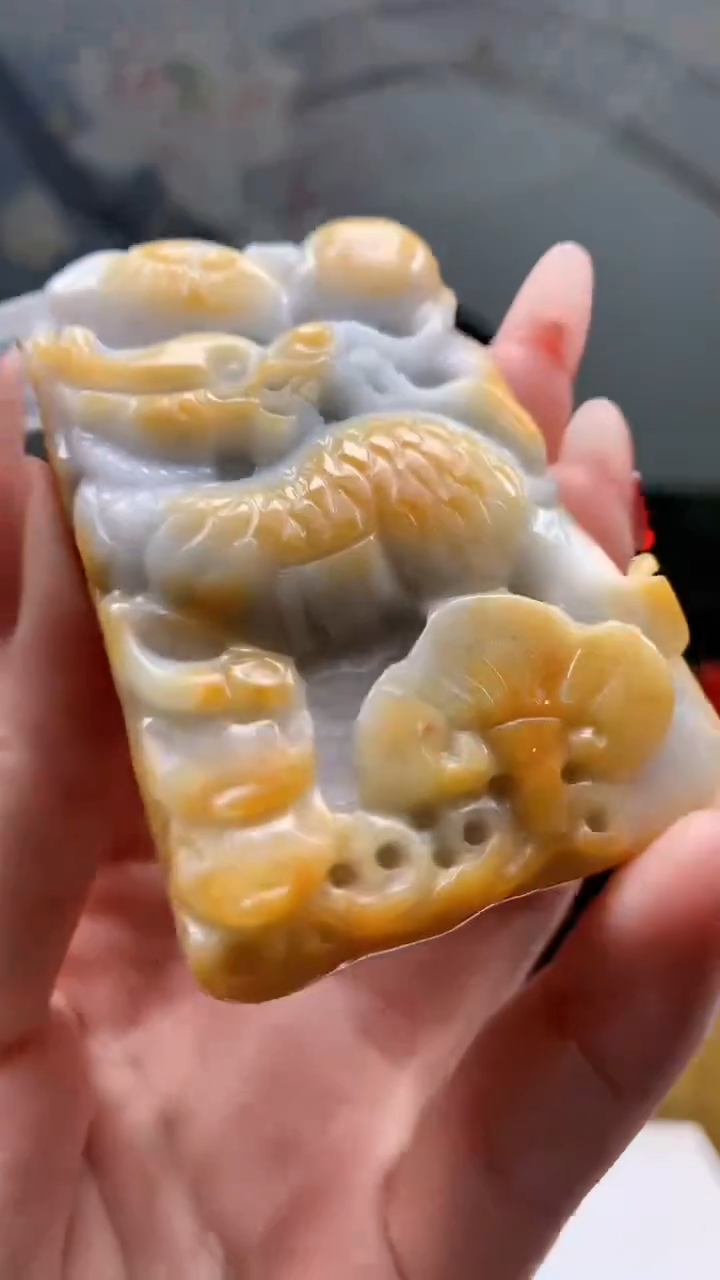 【闪购商品】定制翡翠未镶嵌1044ry-毛货挂件9