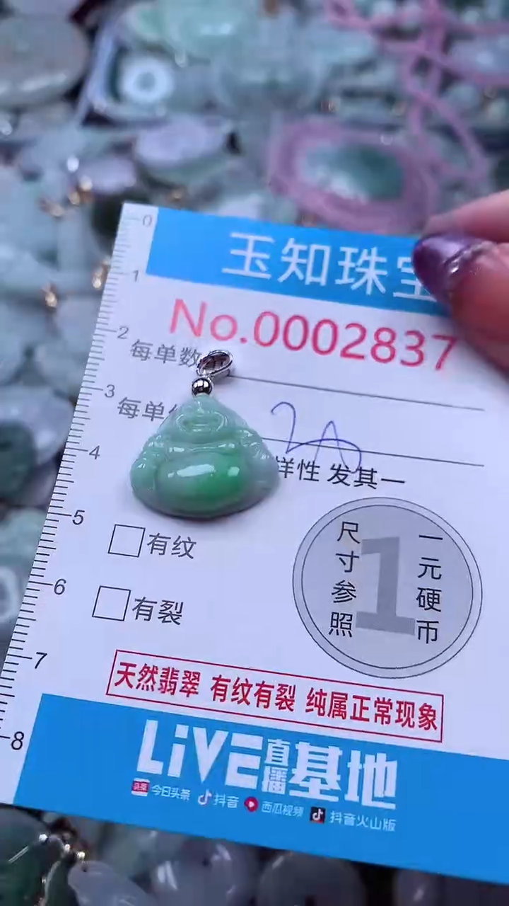 翡翠未镶嵌吊坠(不含链)2837