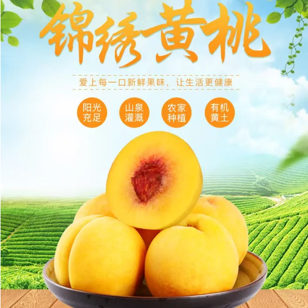 【棋梓桥黄桃】锦绣黄桃