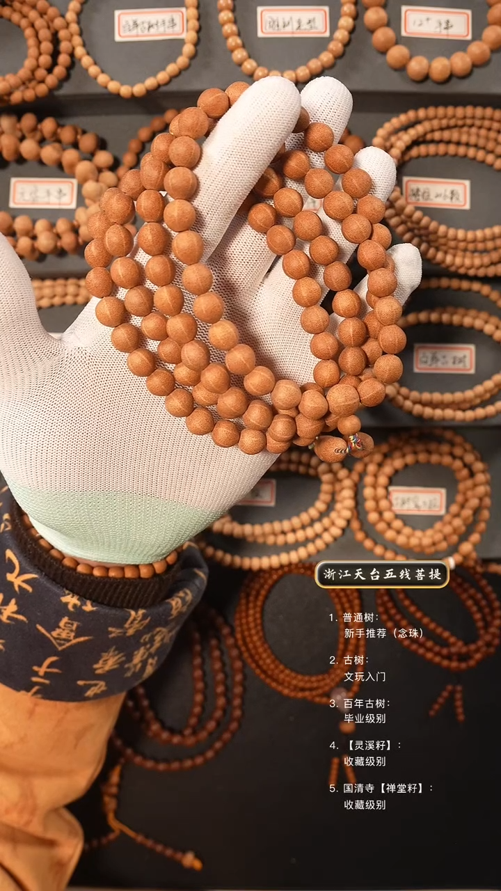 【闪购商品】五线菩提吊坠5年陈籽脖挂9.8+