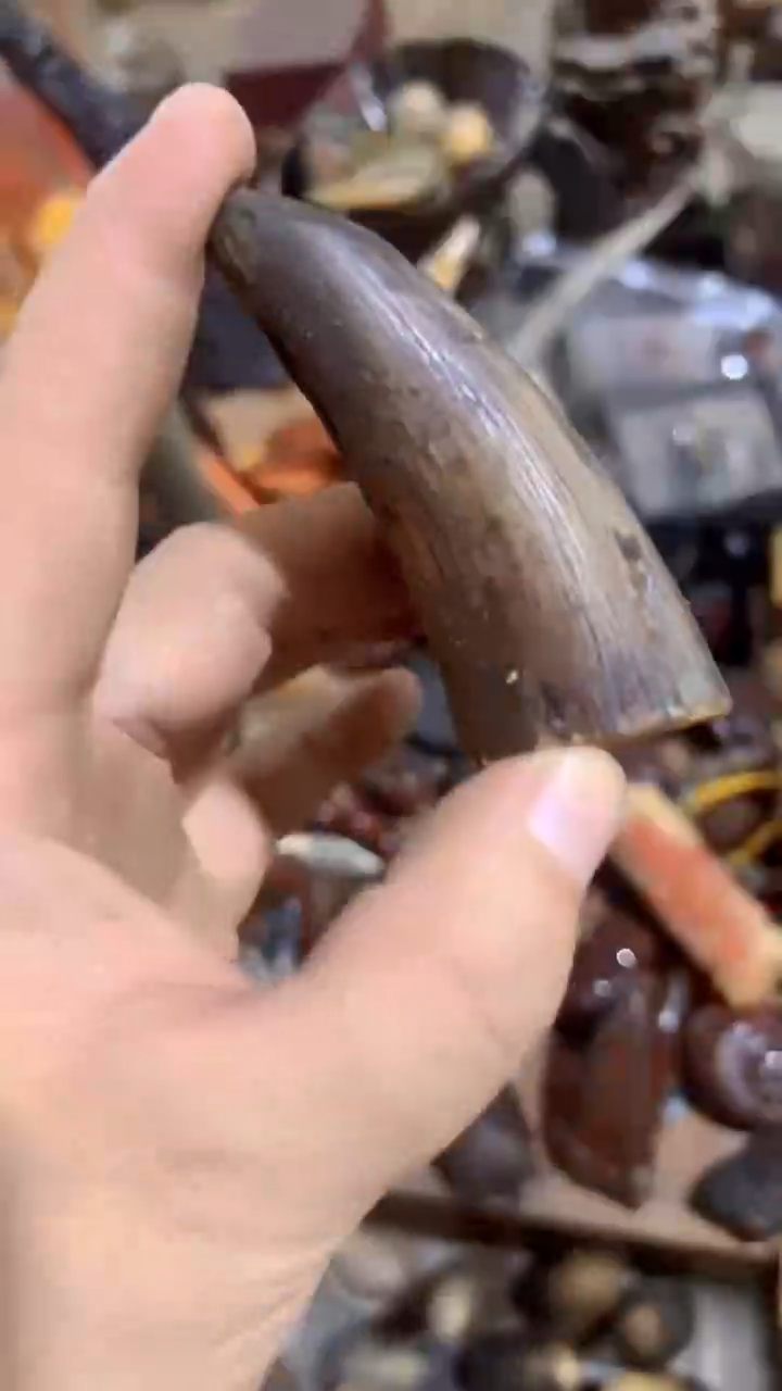 紫砂紫砂紫砂紫砂