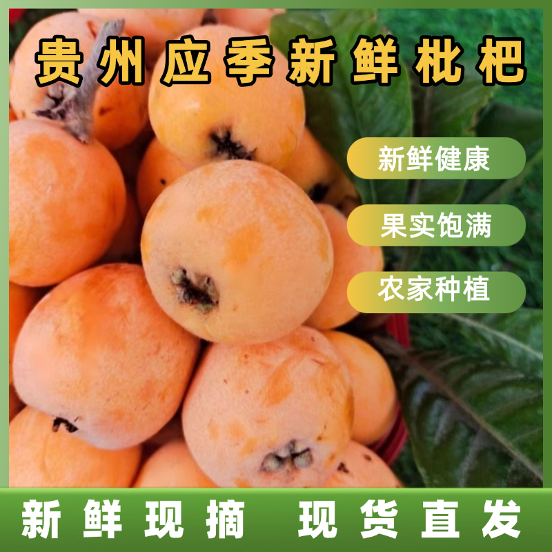 贵州高山枇杷应季水果农家种植枇杷新鲜枇杷现摘现发贵州省