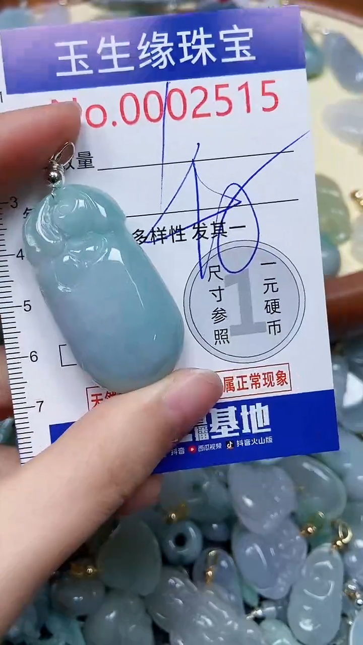 【闪购商品】翡翠颈饰未镶嵌闪购00002515