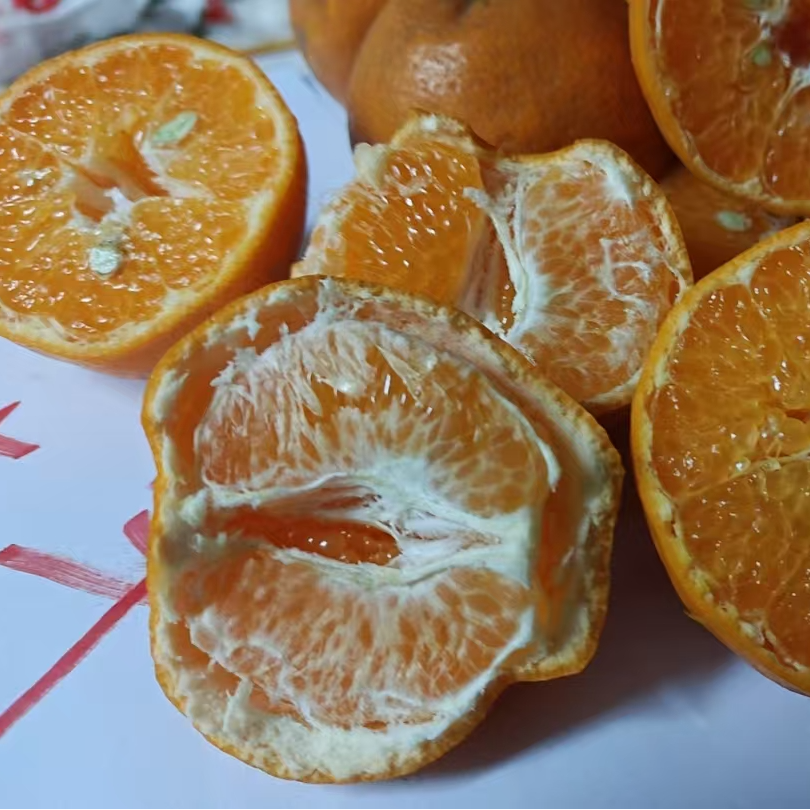 未套袋耙耙.自然成熟，阳光充足，甜的自然，甜的舒心