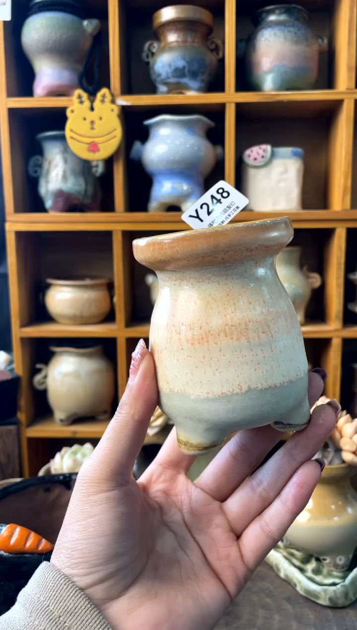 248内口6【多肉花盆多肉盆】