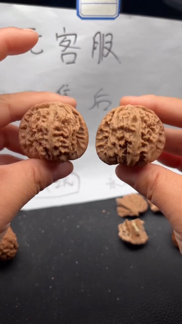 把件文玩核桃638白狮子