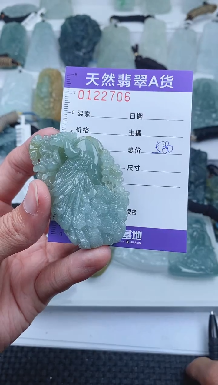 【闪购商品】翡翠颈饰未镶嵌        706