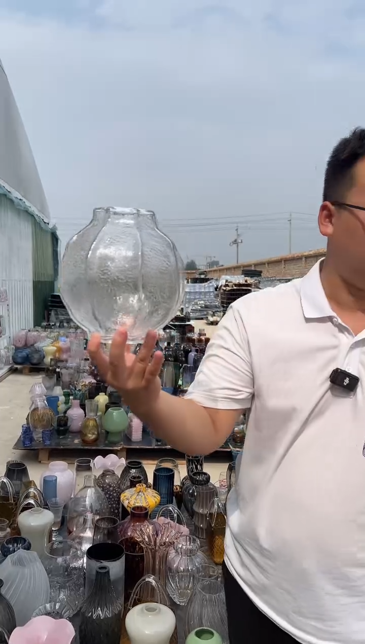 玻璃花瓶用于客厅桌面插花装饰