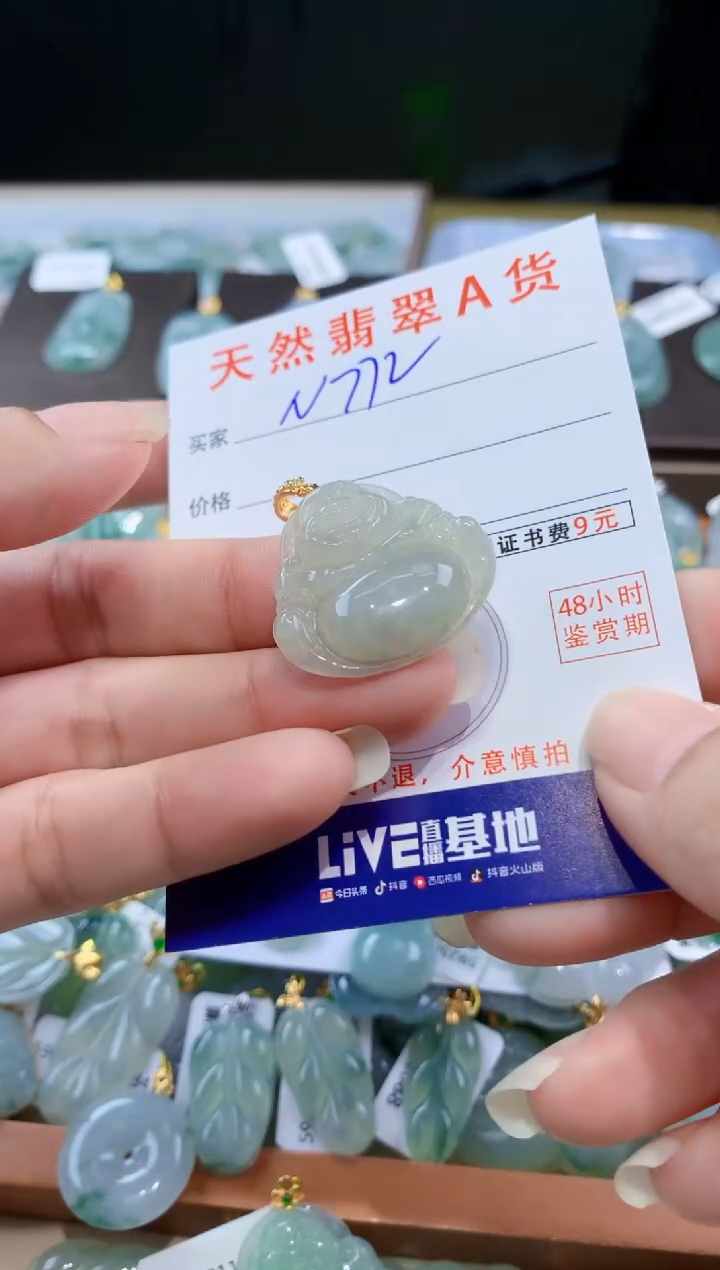 颈饰未镶嵌翡翠天然翡翠A货挂件 