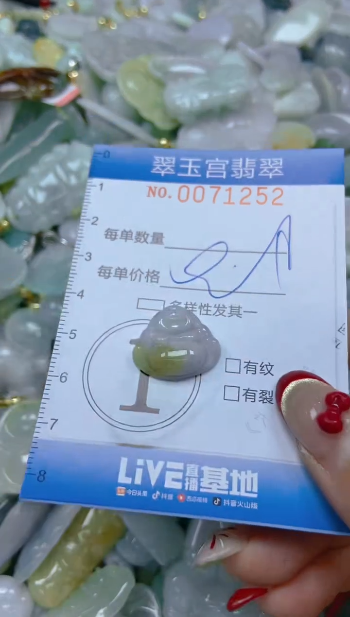 【闪购商品】翡翠颈饰未镶嵌闪购0071252