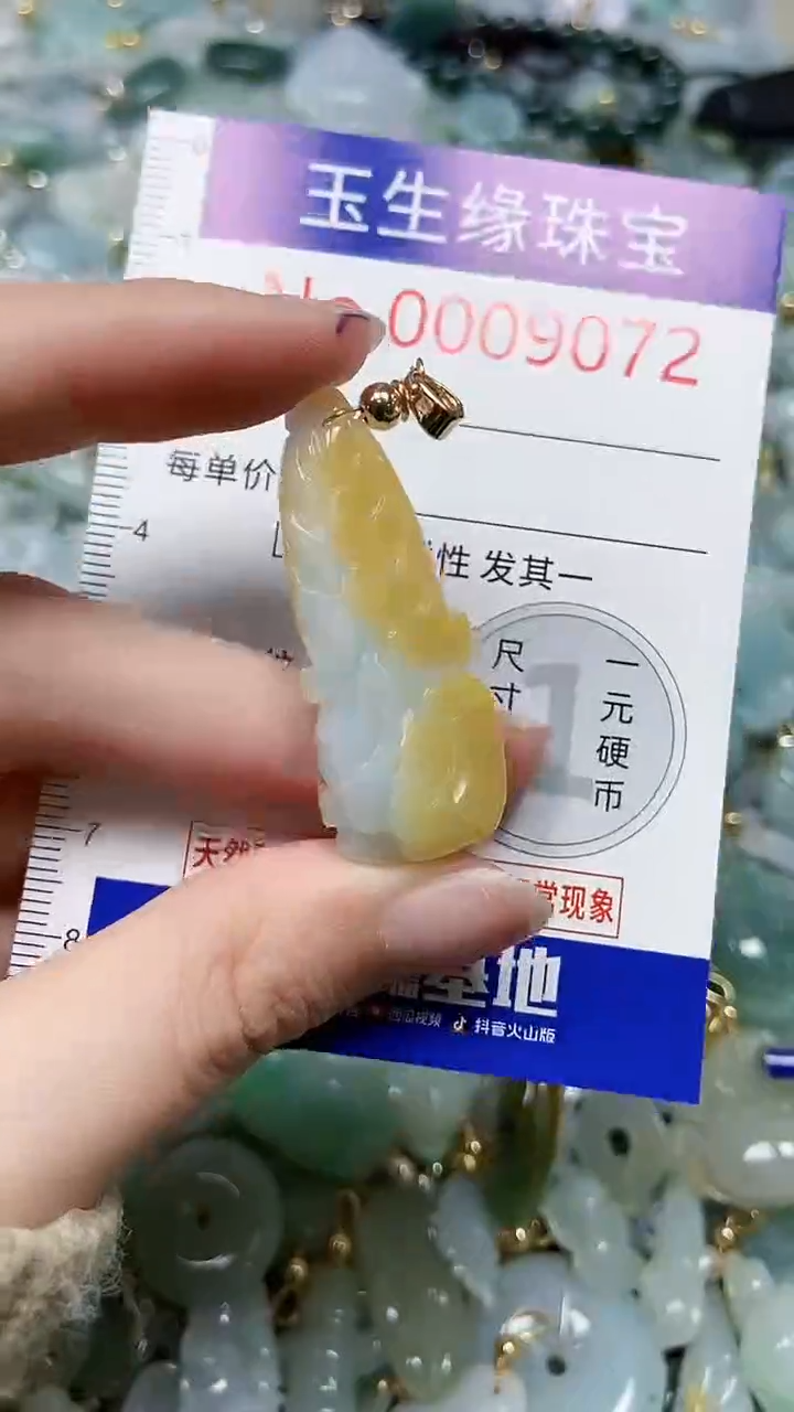 【闪购商品】翡翠颈饰未镶嵌闪购00009072
