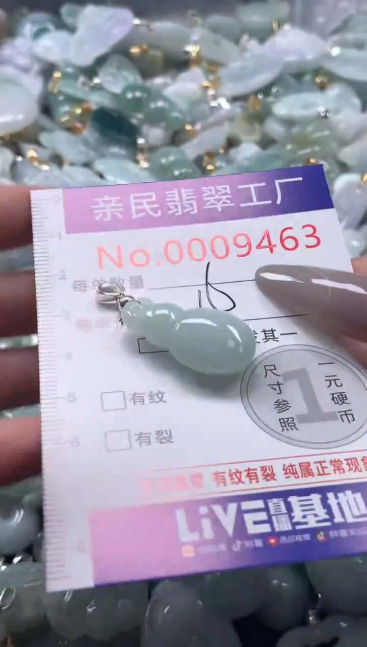 颈饰未镶嵌翡翠9463