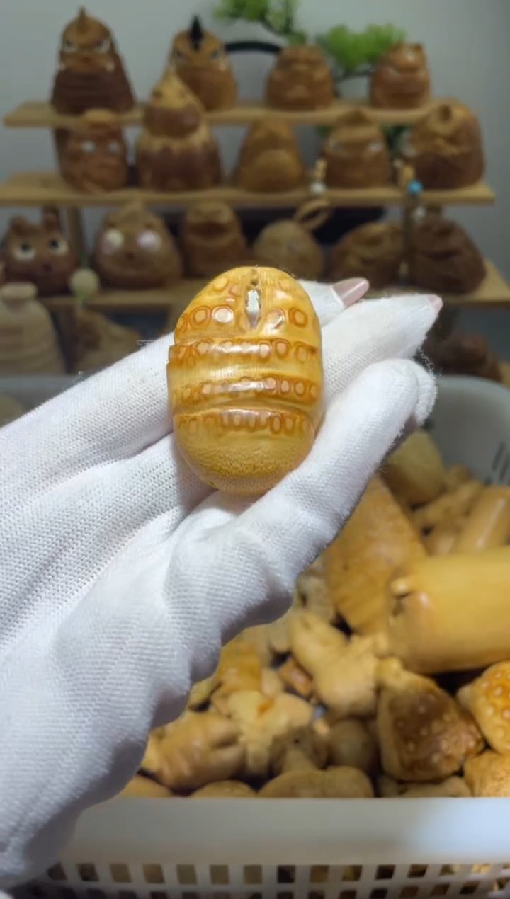 竹豆****贝蟹钳111111111111