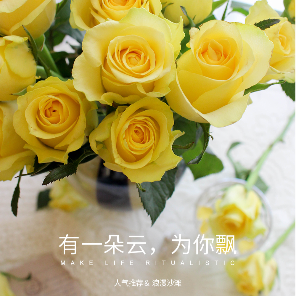 浪漫沙滩黄玫瑰1扎 连云港鲜花配送 到店自取