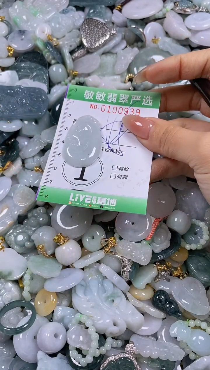 【闪购商品】翡翠颈饰未镶嵌闪购0100939