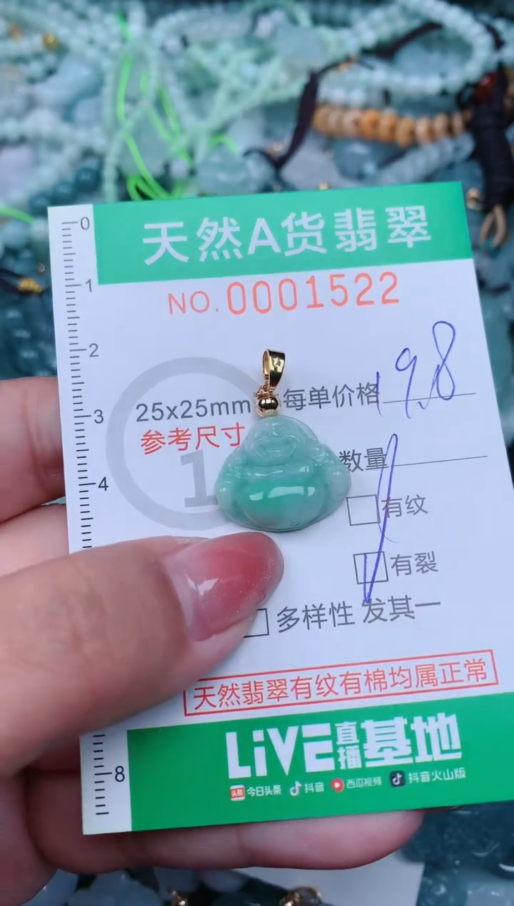 【闪购商品】翡翠颈饰未镶嵌.0001522