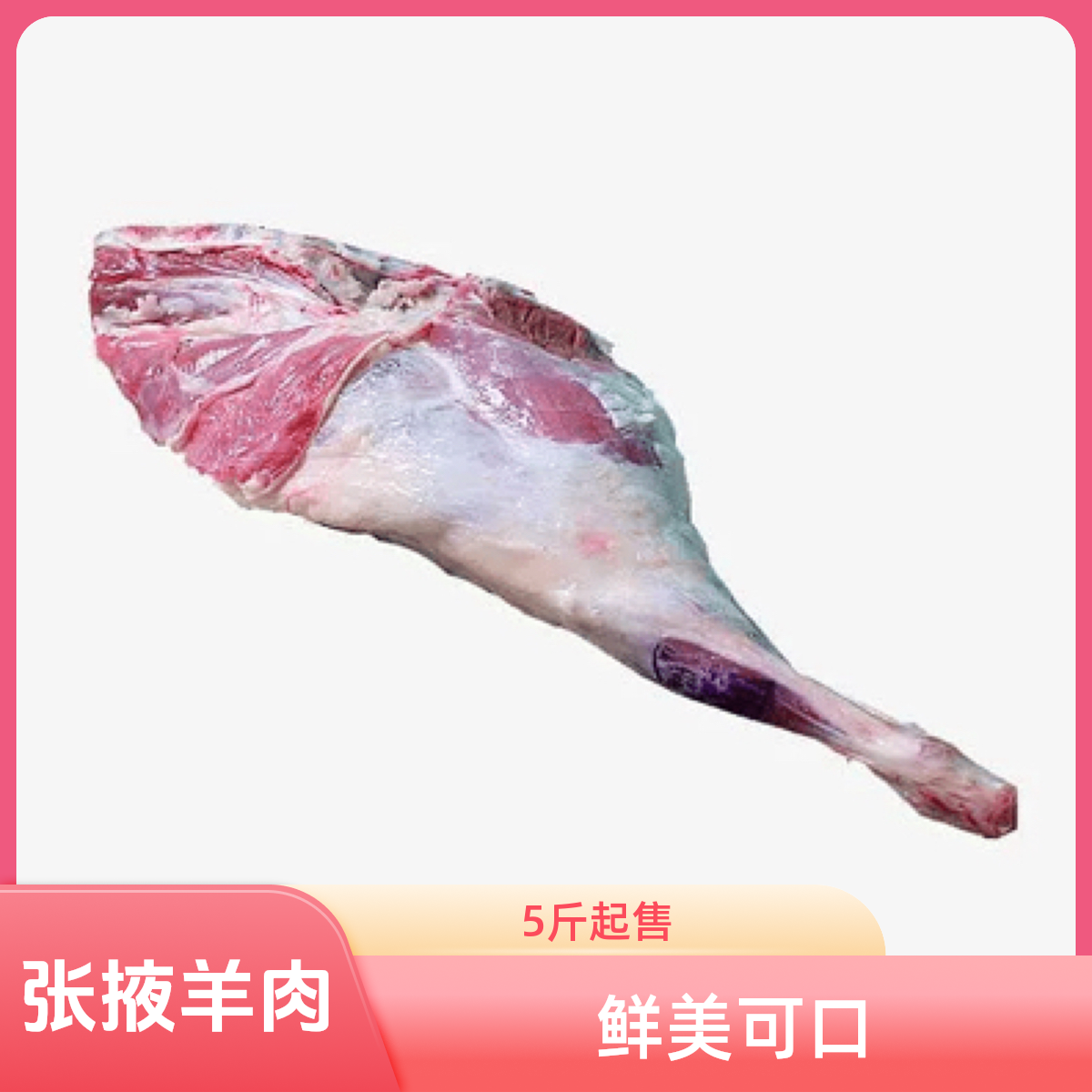 张掖羊肉 羊后腿 5斤起拍