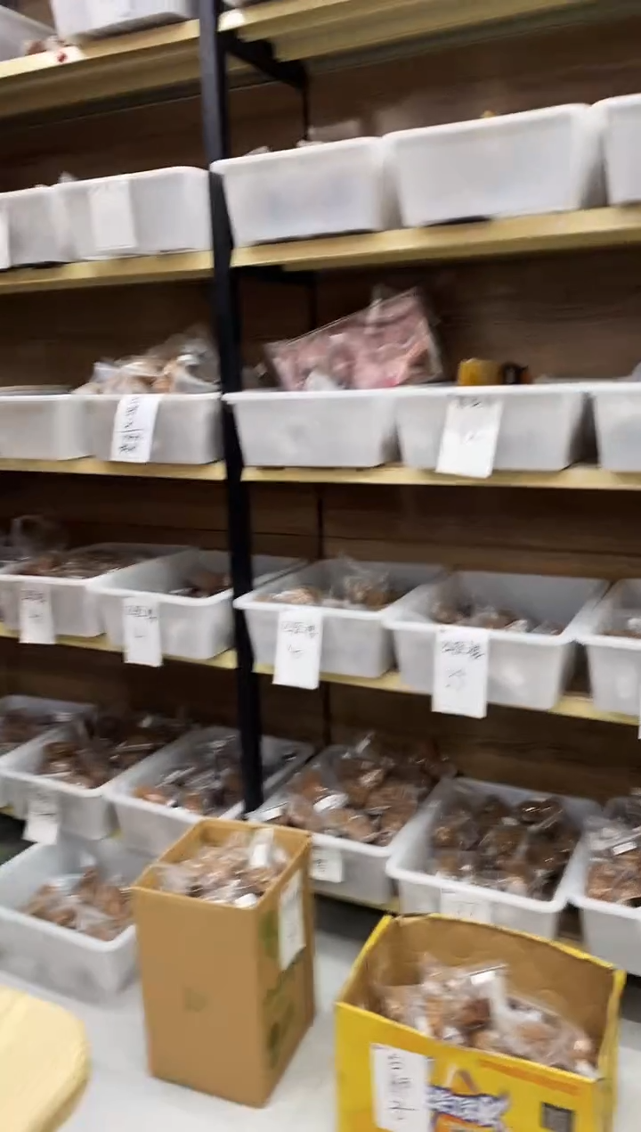 把件核桃【帝王狮子头】#48AA