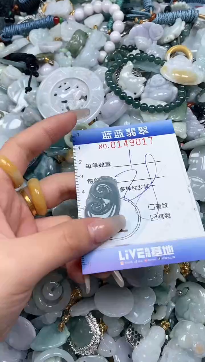 【闪购商品】翡翠颈饰未镶嵌闪购0149017多样性发其一