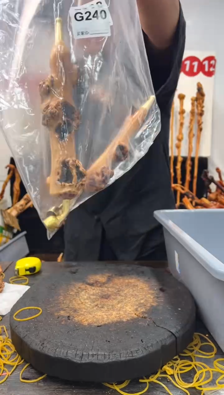 黑果木其他黑果木446