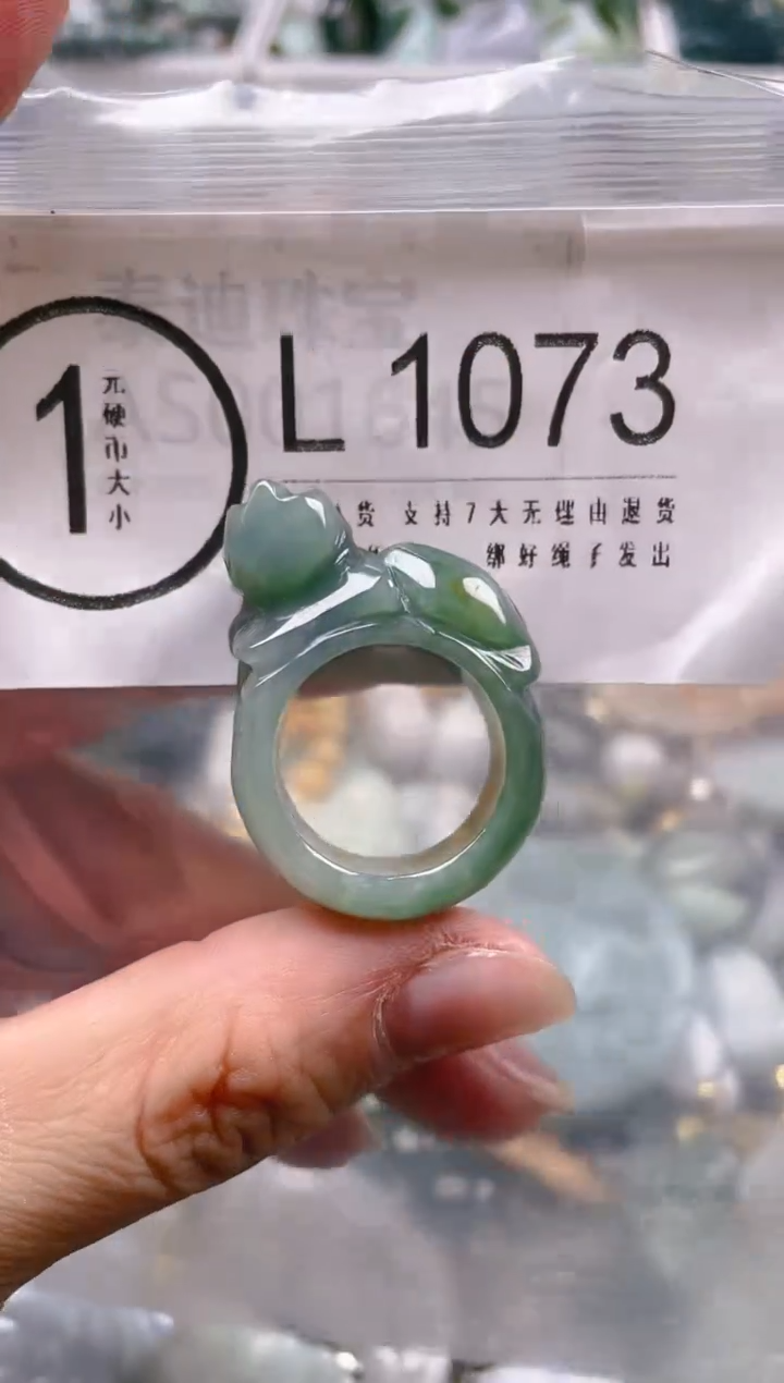 【闪购商品】翡翠颈饰未镶嵌19/L/翡翠A货一图一物