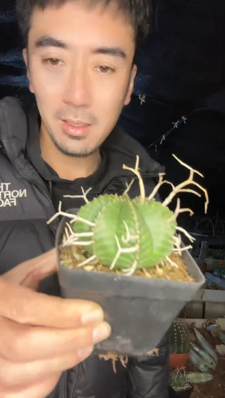 【闪购商品】法力达111111