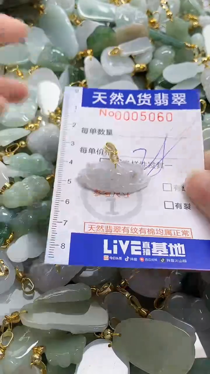颈饰未镶嵌翡翠纯天然货翡翠