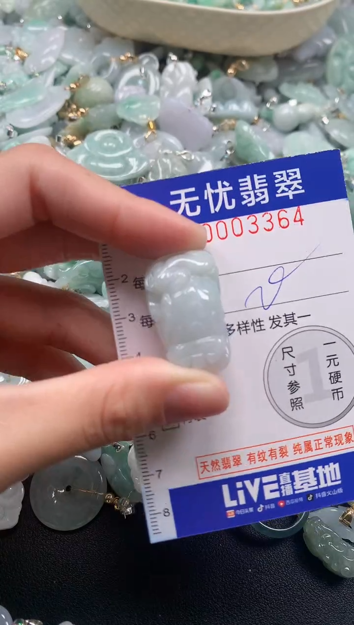 颈饰未镶嵌翡翠3364