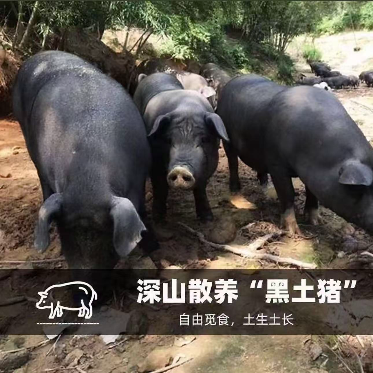 【恩施腊肉】恩施正宗农家土猪肉腊味现场称重链接