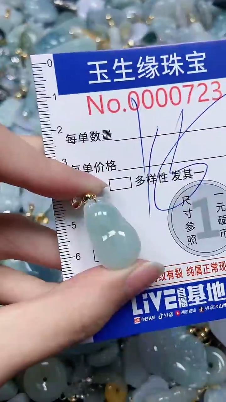 【闪购商品】翡翠颈饰未镶嵌闪购0000723