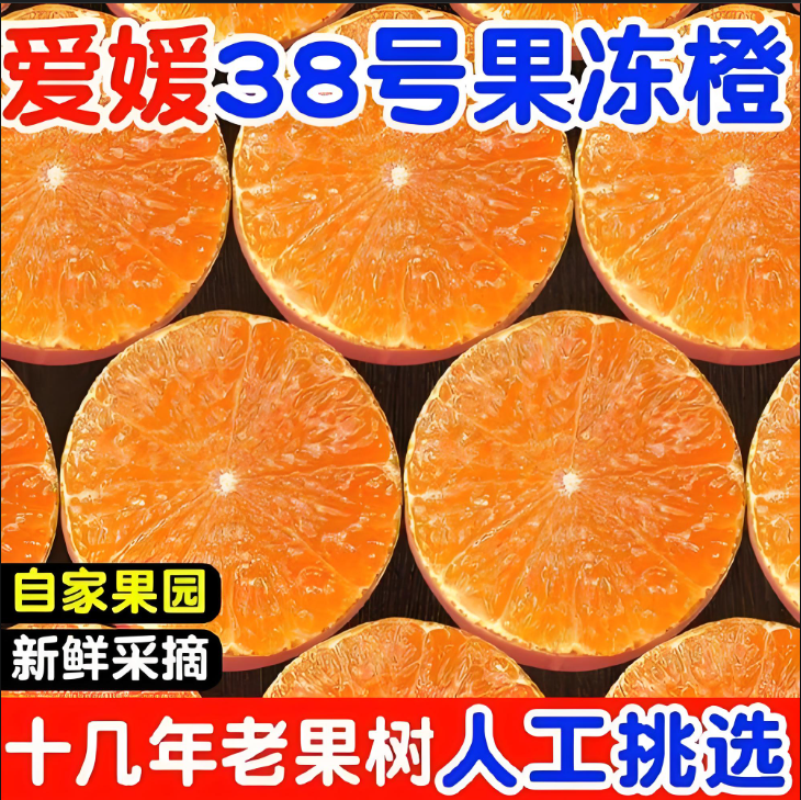 四川爱媛38号果冻橙现摘新鲜水果产地直发