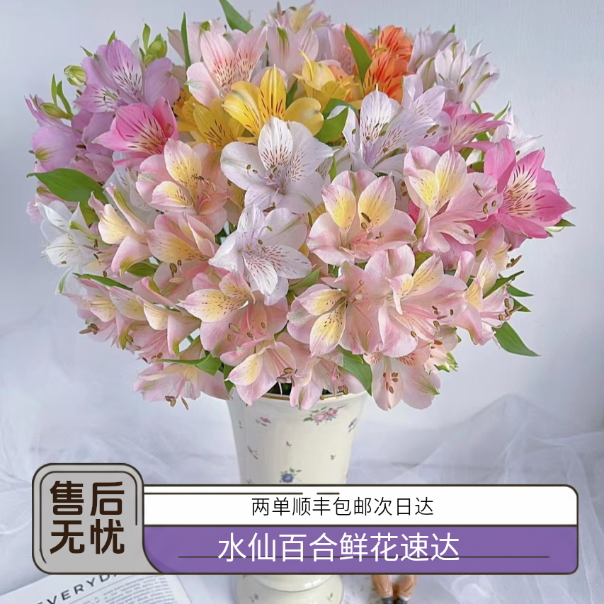 水仙百合 10枝 颜色随机 鲜花 批发/直播  江浙沪皖 次日达