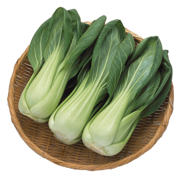 上海青青----全国