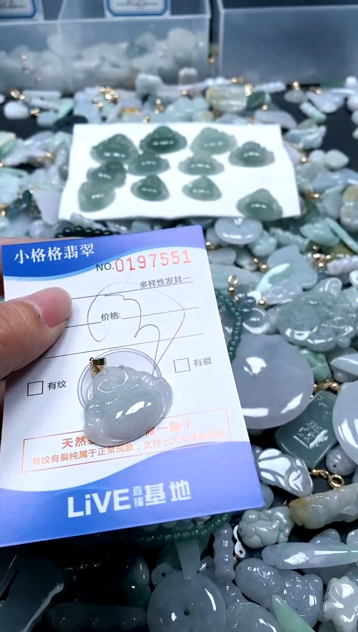 【闪购商品】翡翠颈饰未镶嵌闪购商品0197551