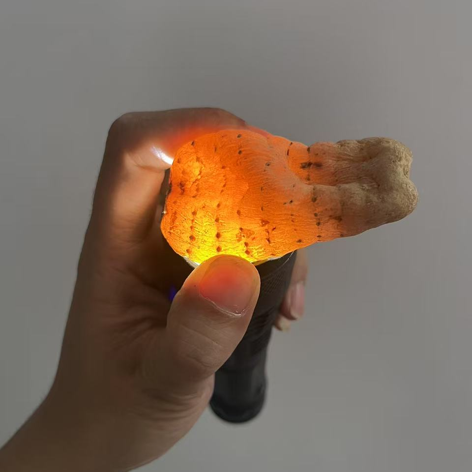 云南昭通乌天麻干货
