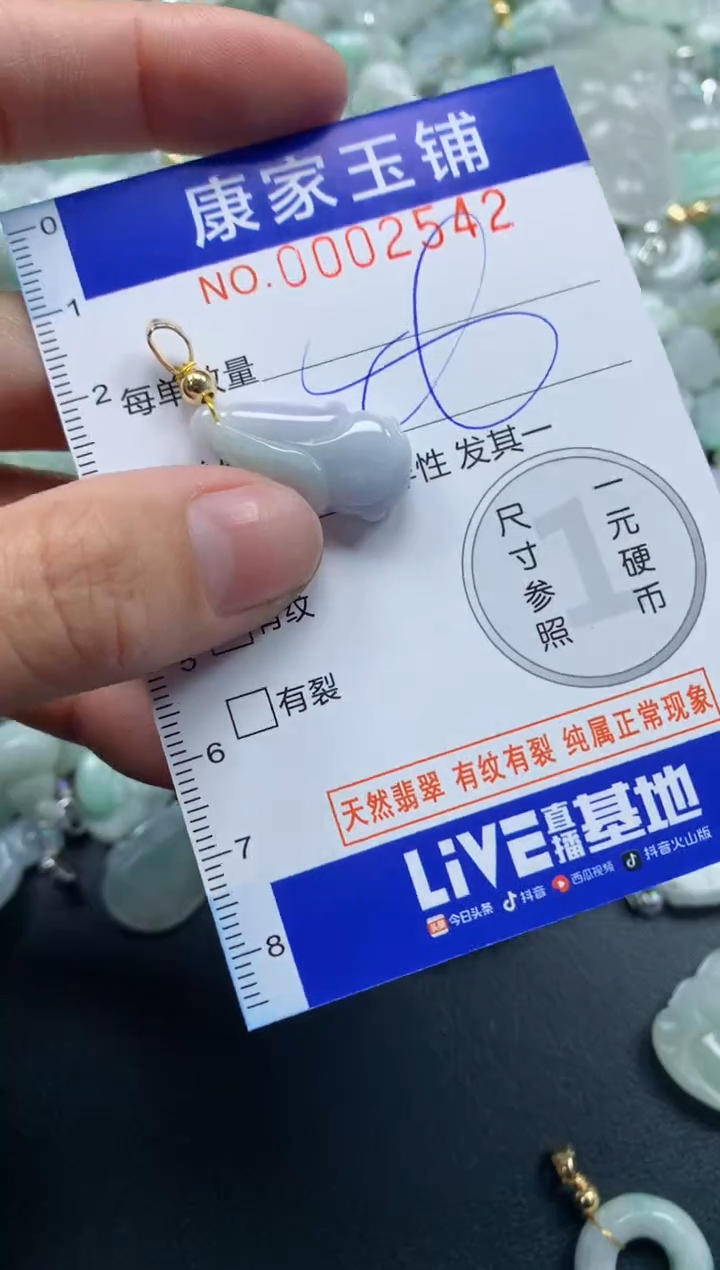 颈饰未镶嵌翡翠2542