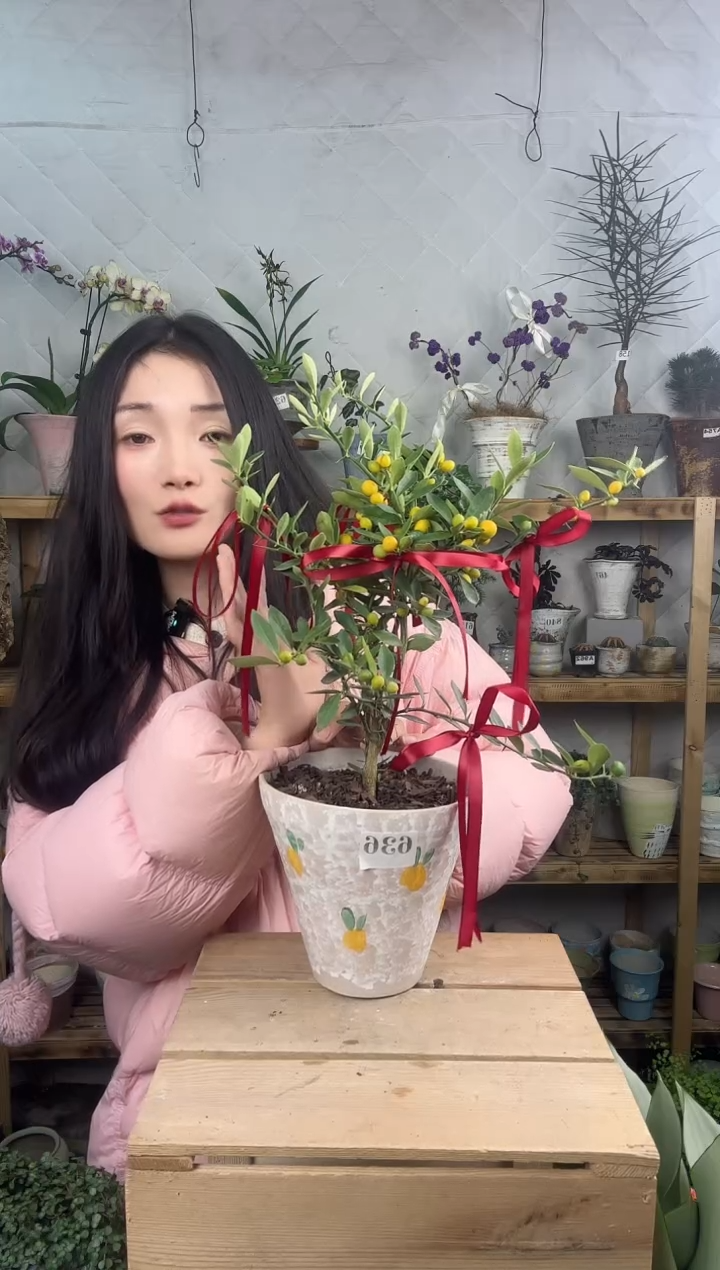 无花朵636金豆加盆一套