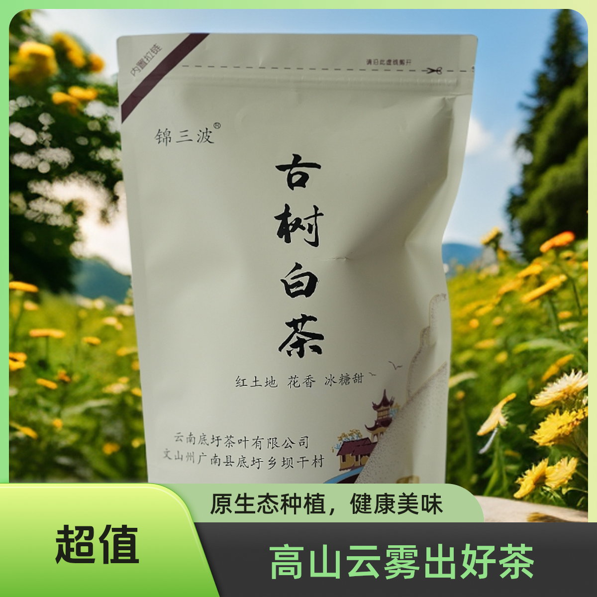 2025年广南日晒古树白茶100克/袋茶花香浓郁冰糖甜口感醇厚耐泡