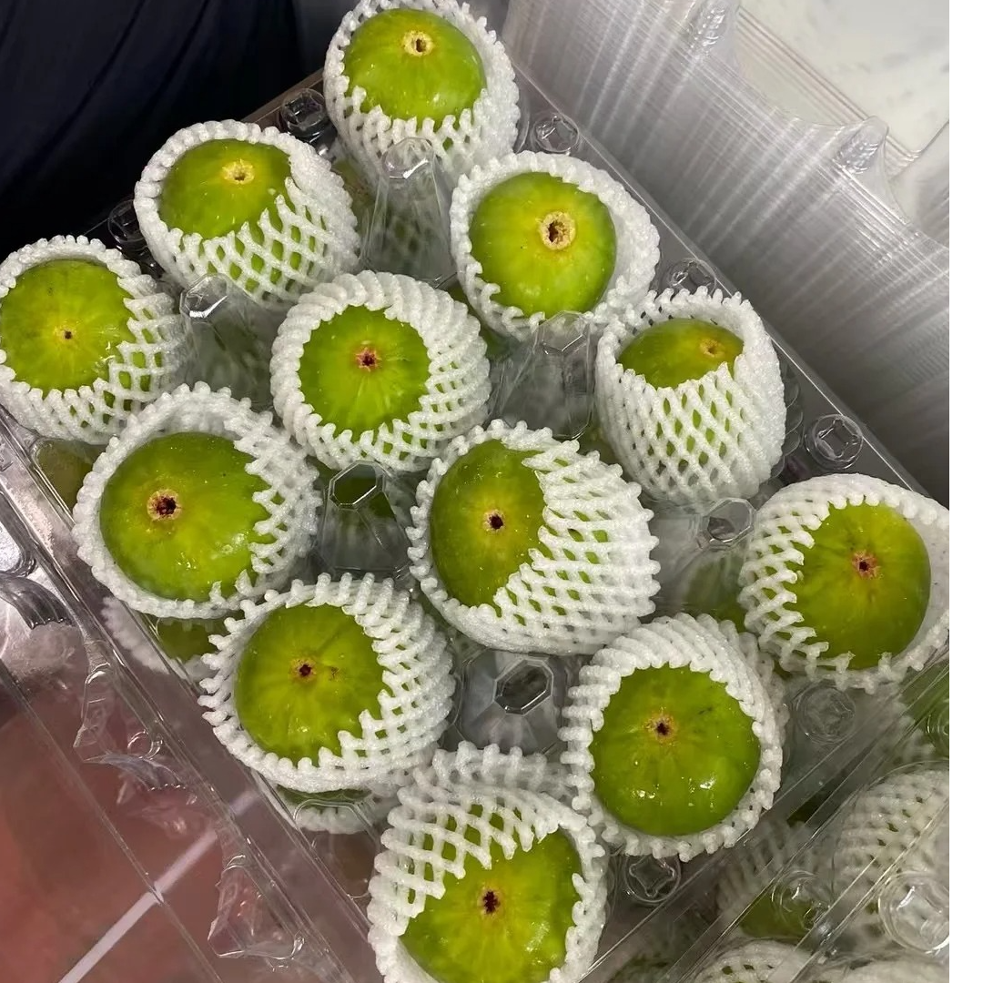 山东威海青皮无花果蜜甜