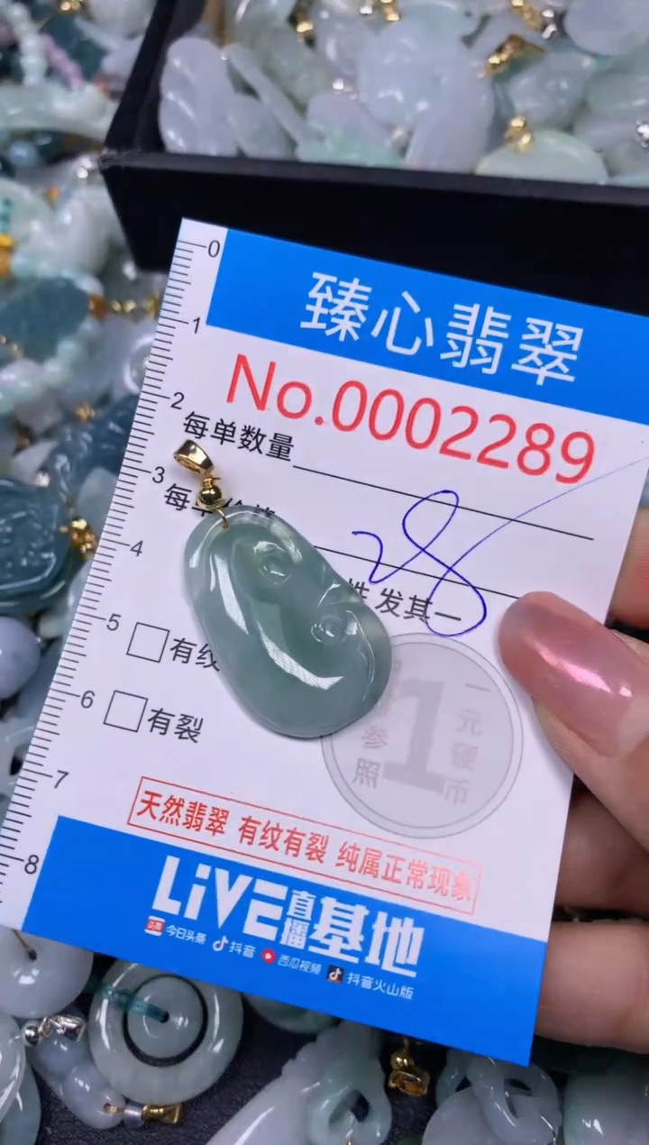 【闪购商品】翡翠颈饰未镶嵌含绳0002289