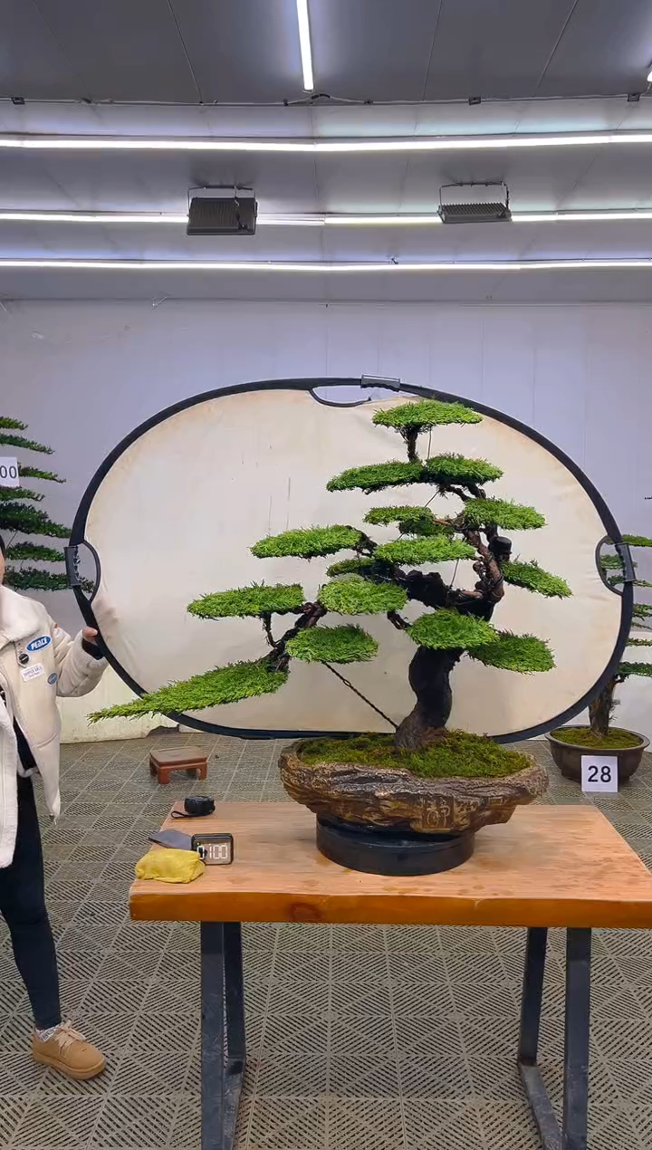 无花朵一物一拍一物一拍