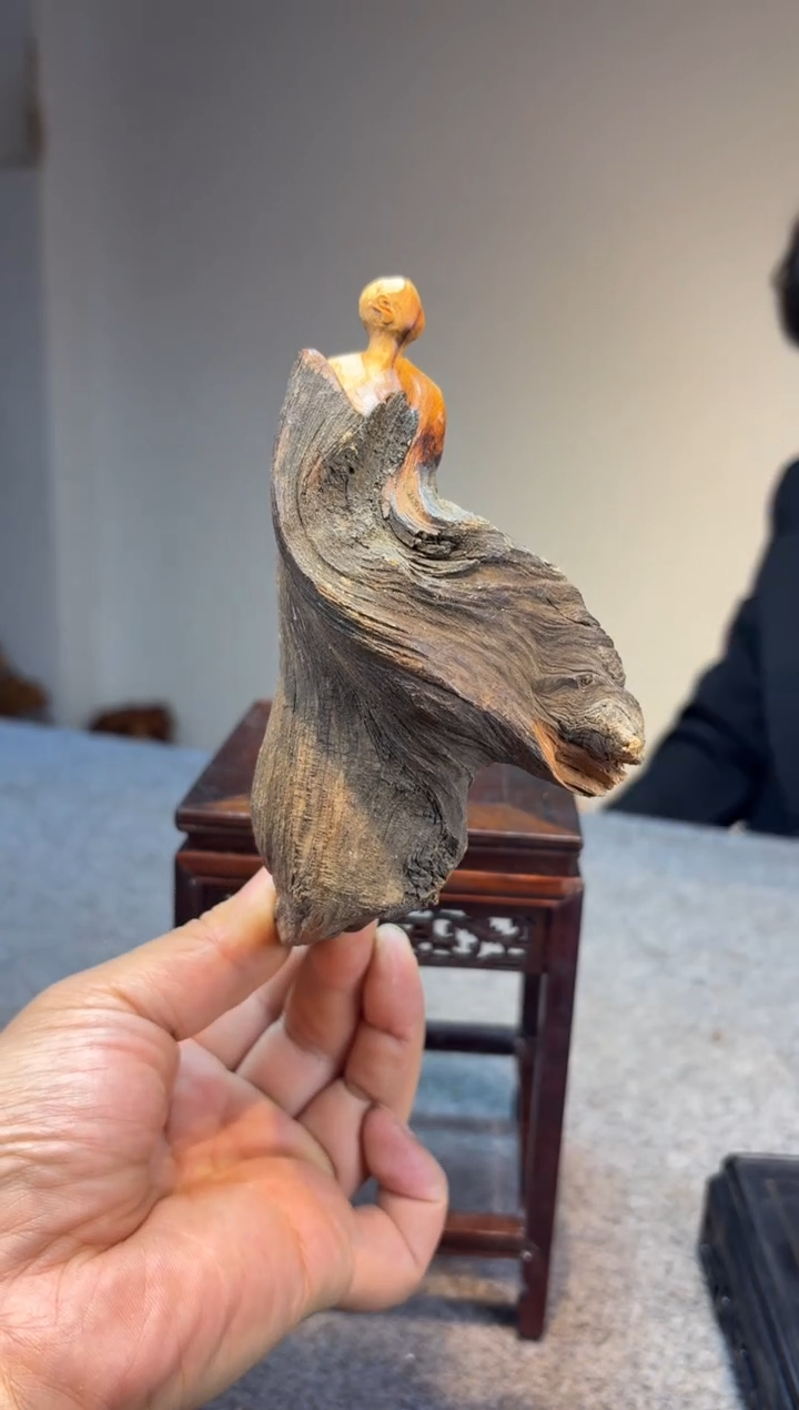 柏木（崖柏）云**剧崖柏崖柏