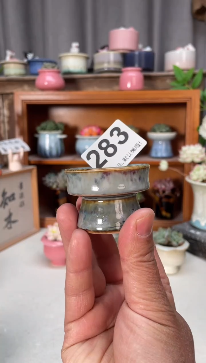 瓷片言*。283小芳花盆直播编号